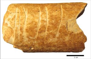 Etched bone fragment from Paleolithic
