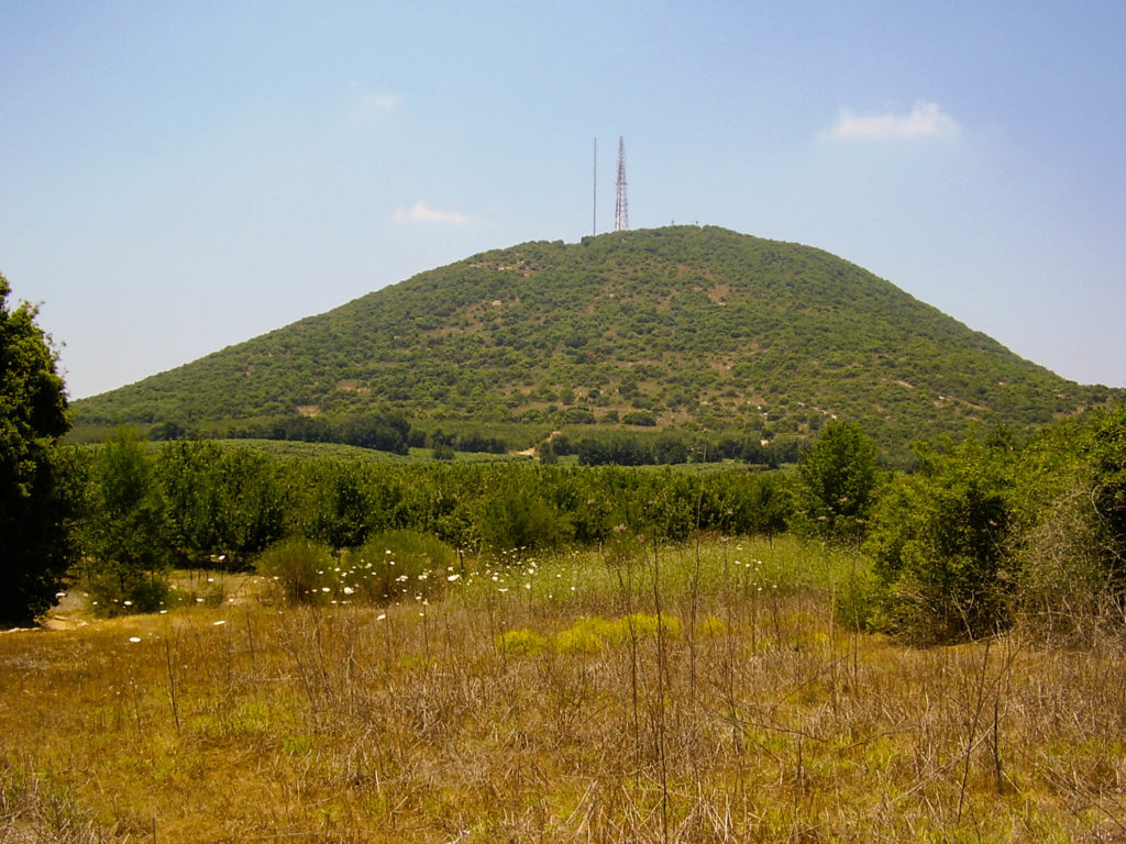 Mt. Adir in the Galilee