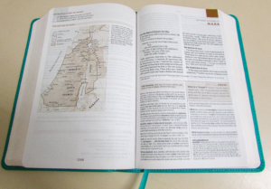 English Standard Version Bible